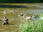 18-19 sobota na lodich 81